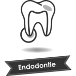 Endodontie